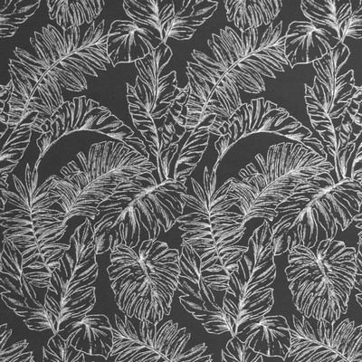 Silver State 145854 Calm 01 Graphite